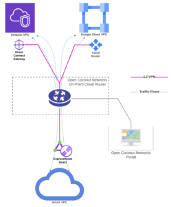 cloud-router-direct-interconnect